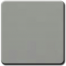 Silver Gray